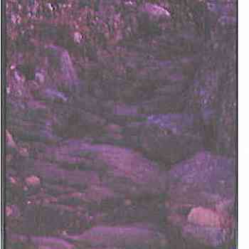 Click para ampliar. Pulsa en el nombre para ver la ficha. El Patrás 10